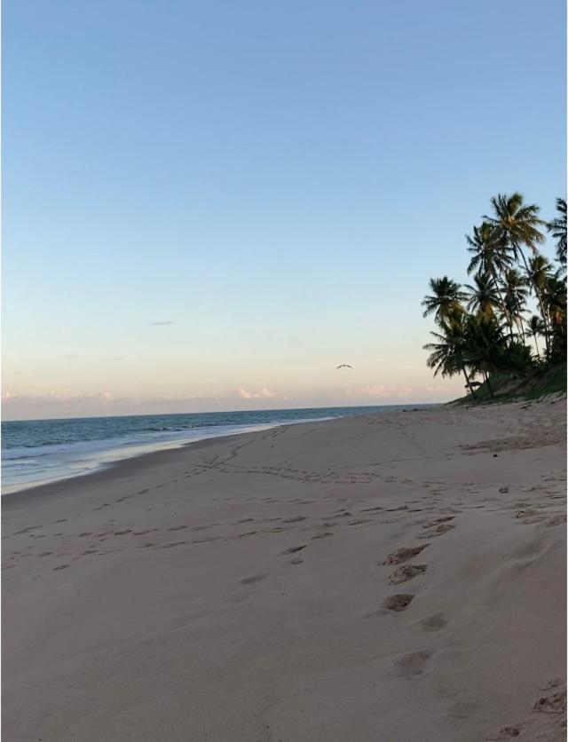 Praia Do Forte- Iberostar- Ap Luxuoso 3 Qts Mata de Sao Joao Exteriér fotografie